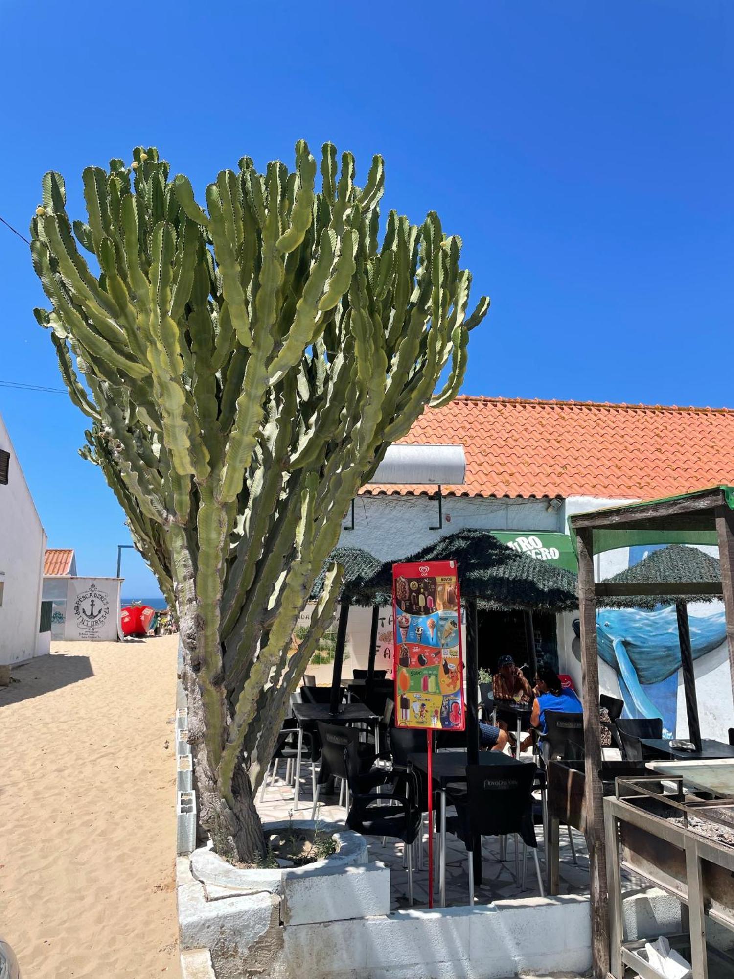 Sea View & Sundown, 150M From The Beach And Surf Spots Кошта-да-Капарика Экстерьер фото